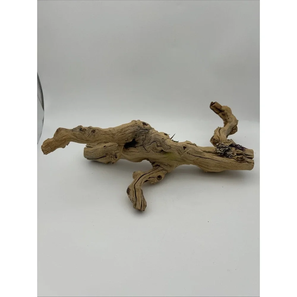 Nature Scapes Grapewood reptiles Or Airplants‎ 14x6 natural stump decor